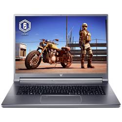Acer Notebook Predator Triton 500 SE 40.6 cm (16 Zoll) WQXGA Intel® Core™ i7 i7-12700H 16 GB RAM 1 TB Flash 1000 GB SSD